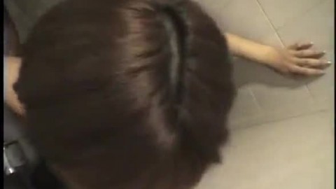 Slutty Asian slut is doggy style fucked in the toilet