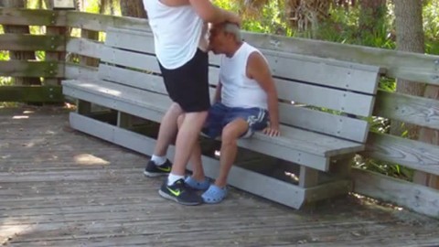 older gays have sex in public park