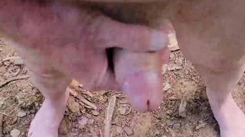 Me Cumming Big Spurt In The Woods 0606 2