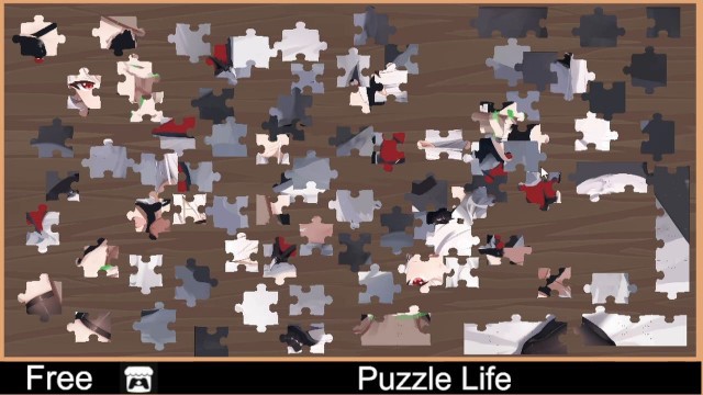 Puzzle Life