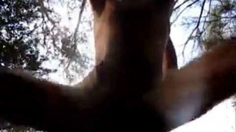 Daddy fucked in the Forest