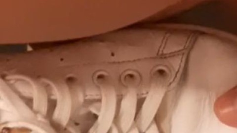 adidas stan smith petting pornhunb